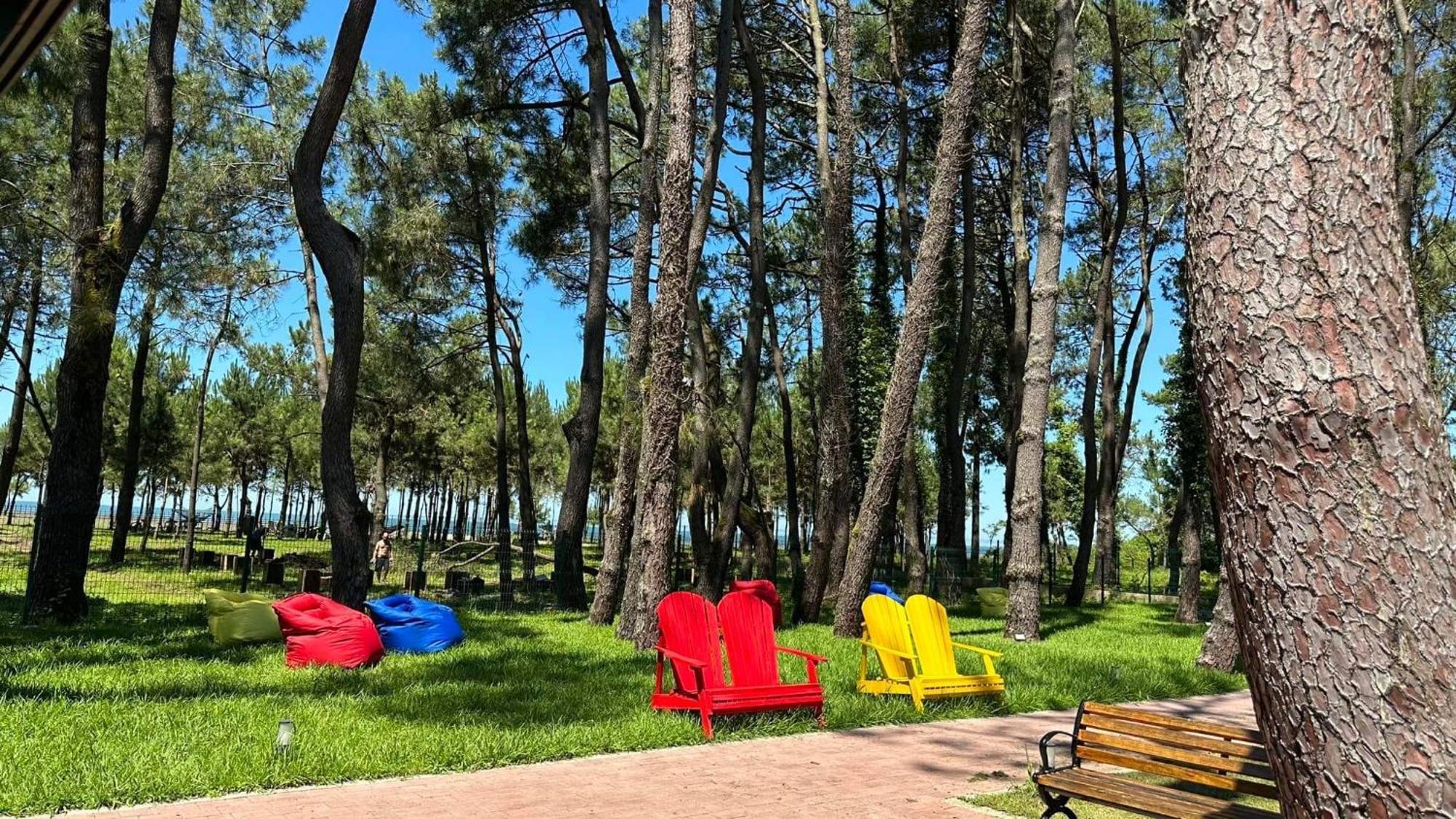 Iveria Elli Hotel Šekvetili Exteriér fotografie
